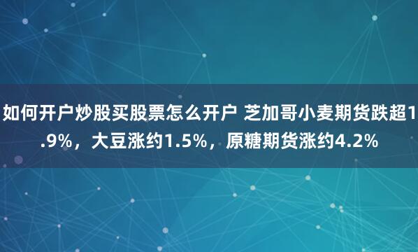 如何开户炒股买股票怎么开户 芝加哥小麦期货跌超1.9%，大豆涨约1.5%，原糖期货涨约4.2%